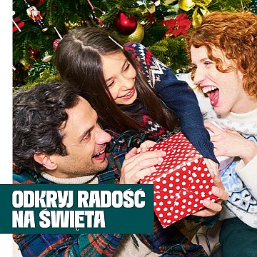 sadyba_christmas_POST_FB_800X1000_1_1.jpg