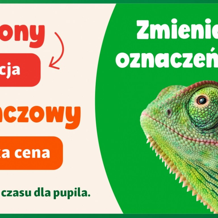 260630_MZoo_MKT_Box_Cenowki_v3_prew.jpg
