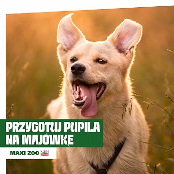 zoo_1.jpg