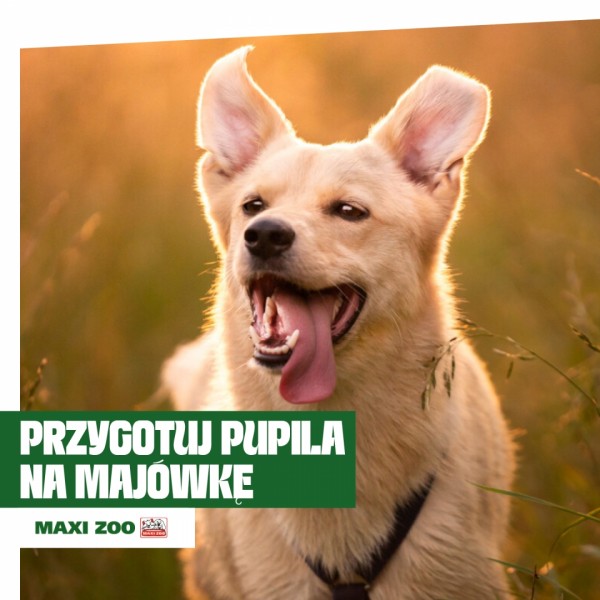zoo_1.jpg