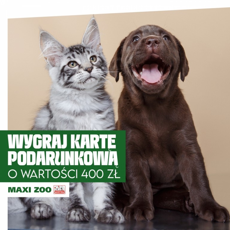 maxi_zoo_2.jpg