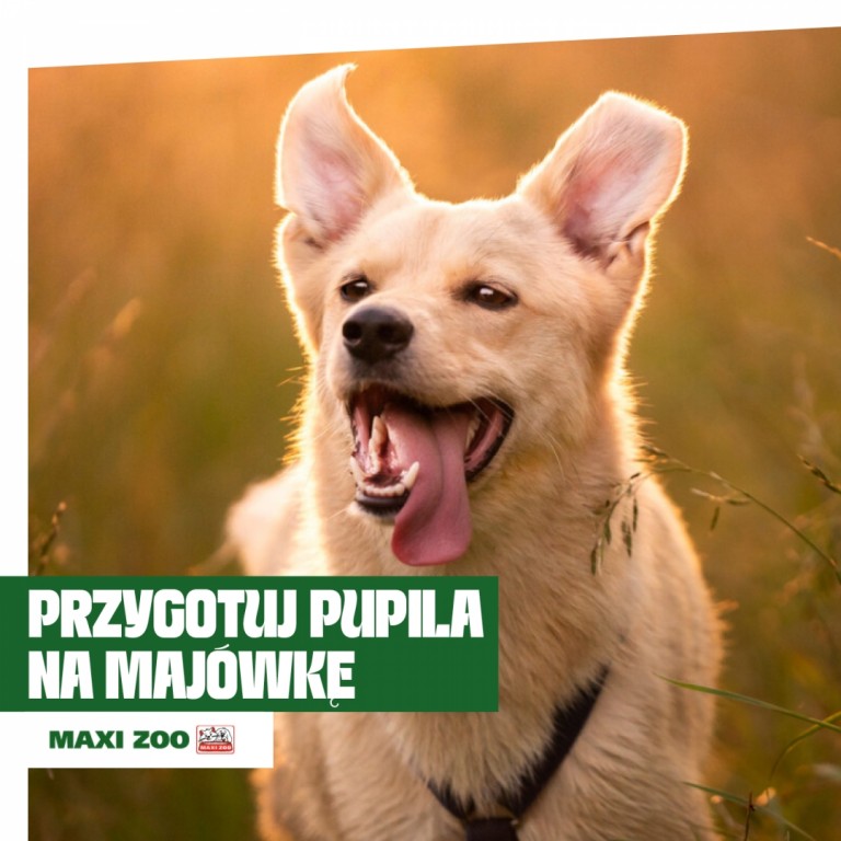 zoo_1.jpg