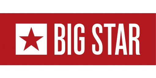 bigstar_logo_poziom_2015_1.png